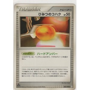 画像: ひみつのコハク