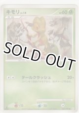 画像: キモリ LV.14