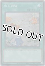 画像: 化石調査【スーパーレア】