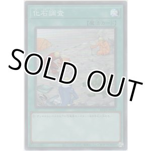 画像: 化石調査【スーパーレア】