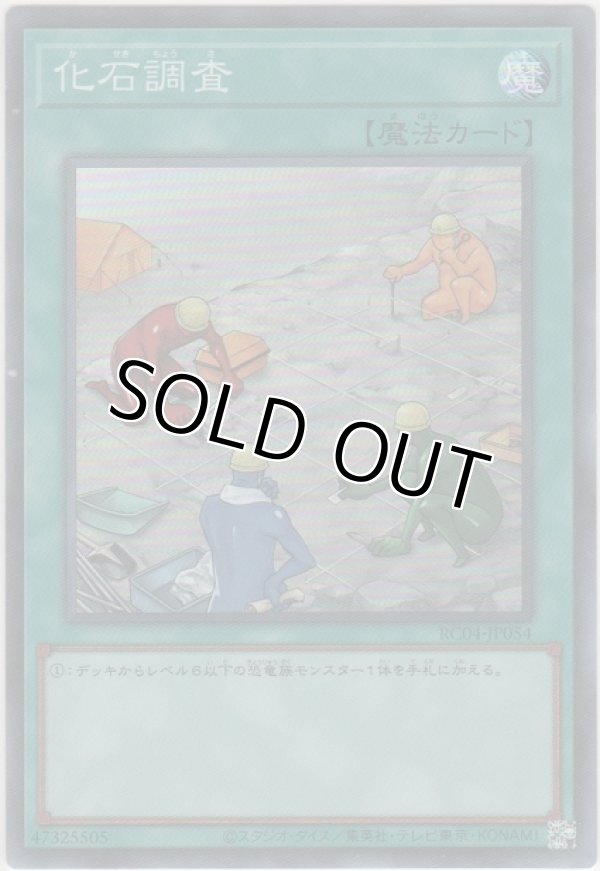 画像1: 化石調査【スーパーレア】