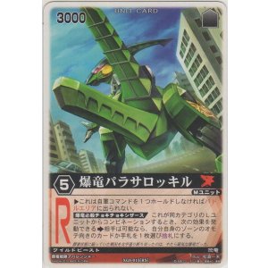 画像: 爆竜パラサロッキル