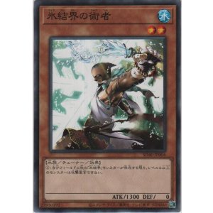 画像: 氷結界の術者【ノーマル】