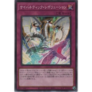 画像: サイバネティック・レボリューション【ノーマル】