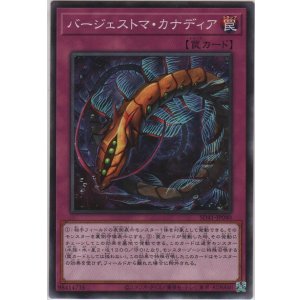 画像: バージェストマ・カナディア【ノーマル】