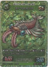 画像: アノマロカリス