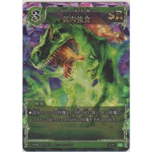 画像: 弱肉強食