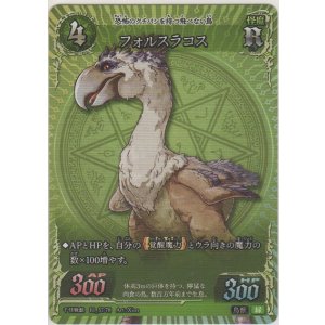 画像: フォルスラコス