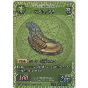 画像: スプリッギナ