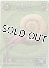 画像: アンモナイト