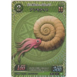 画像: アンモナイト