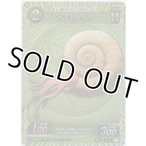 画像: アンモナイト