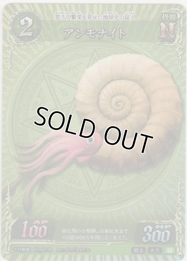 画像1: アンモナイト