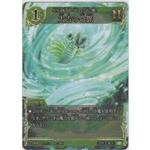 画像: 太古の命脈