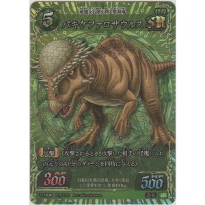 画像: パキケファロサウルス