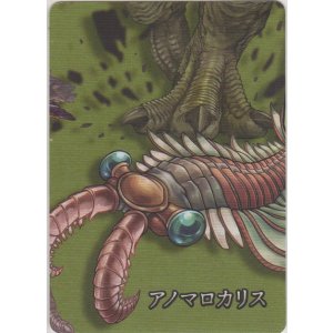 画像: アノマロカリス≪パズル≫