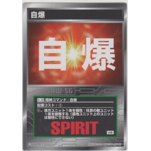 画像: 自爆