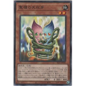 画像: 聖種の天双芽【ノーマル】