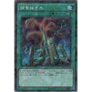画像: 捕食接ぎ木【ノーマルパラレル】