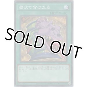 画像: 強欲で貪欲な壺【ノーマルパラレル】