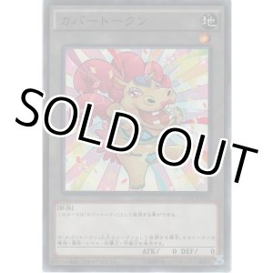 画像: カバートークン【ノーマル】