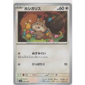 画像: ホシガリス