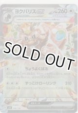 画像: ヨクバリス ex