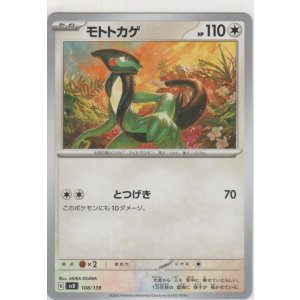 画像: モトトカゲ