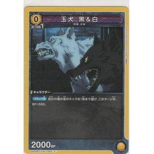 画像: 玉犬：黒＆白