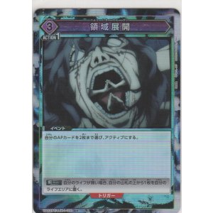 画像: 領域展開≪パラレル≫