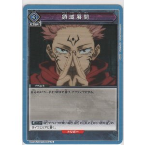 画像: 領域展開