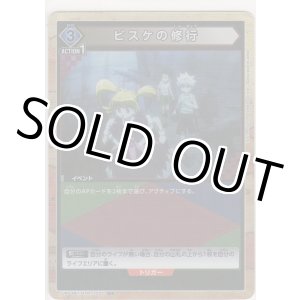 画像: ビスケの修行≪パラレル≫