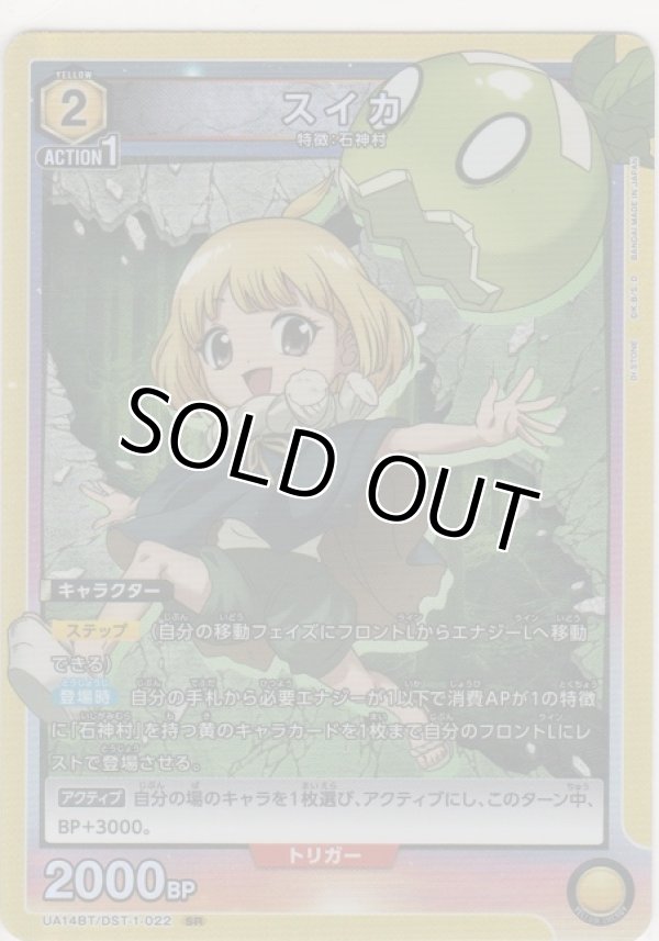 画像1: 【UA14BT/DST-1-022 SR】スイカ