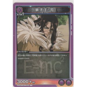 画像: 獅子王 司