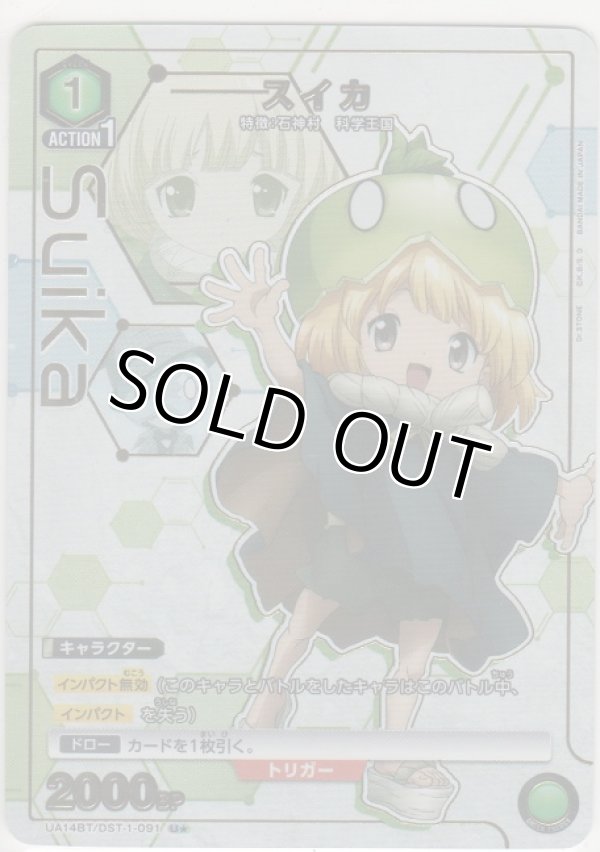 画像1: スイカ≪パラレル≫