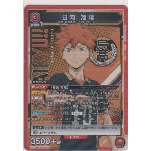 画像: 日向 翔陽