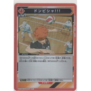 画像: ドンピシャ!!!