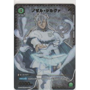 画像: ノゼル・シルヴァ≪パラレル≫