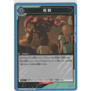 画像: 尾棘