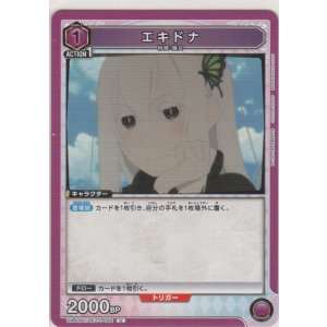 画像: エキドナ