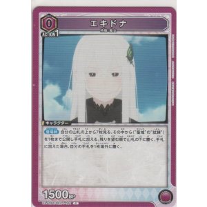 画像: エキドナ