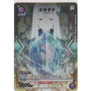 画像: エキドナ≪パラレル≫