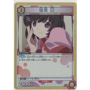 画像: 羽川 翼