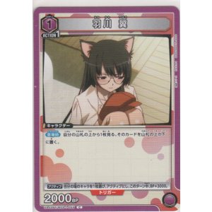 画像: 羽川 翼