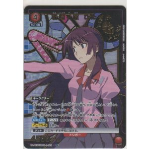 画像: 戦場ヶ原 ひたぎパラレル≫