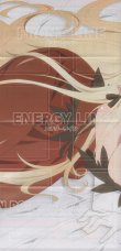 画像2: プレイシート≪物語シリーズ≫