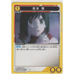 画像: 坂本 葵