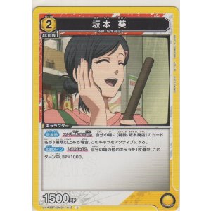 画像: 坂本 葵