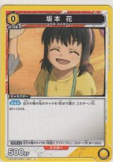 画像: 坂本 花