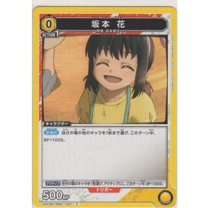 画像: 坂本 花